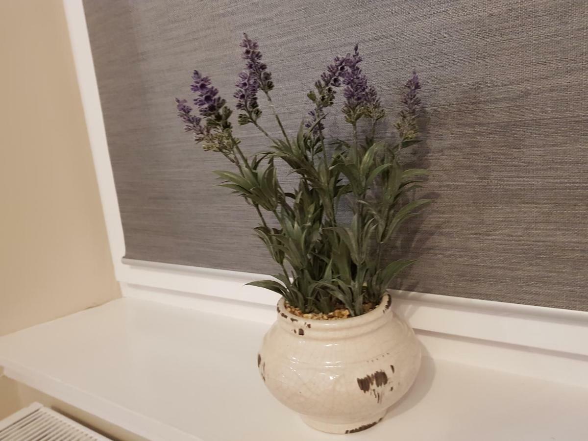 Smart & Cozy Holiday Apartment In The City Centre Inverness Exteriér fotografie